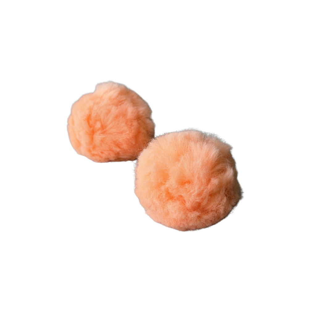 Creamsicle (Horse)
