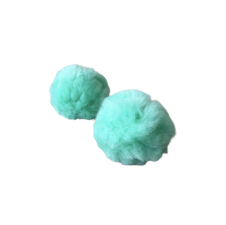 Sea Foam (Horse)