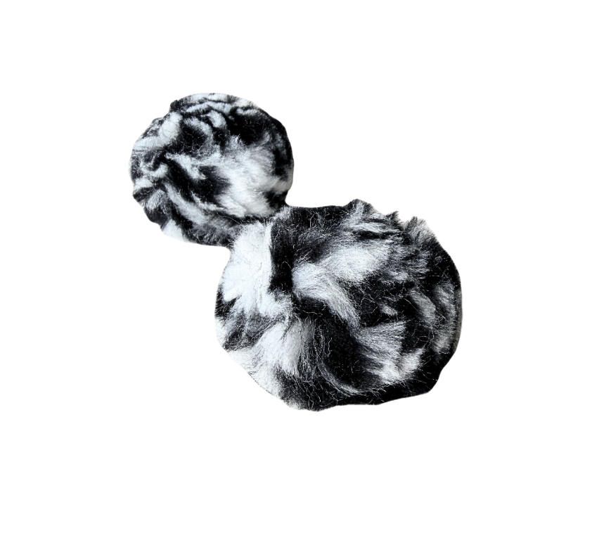 Zebra (Horse)